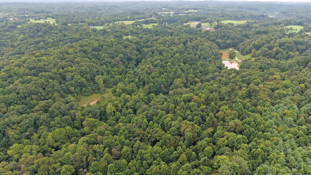 10110 Portie Flamingo Road, Corning, Ohio 43730, ,Land,For Sale,Portie Flamingo Road,20100443 10110 Portie Flamingo Road, Corning, Ohio 43730, ,Land,For Sale,Portie Flamingo Road,20100443