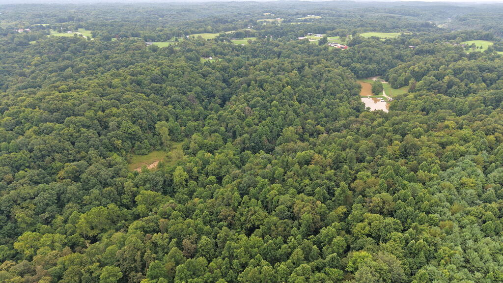 10110 Portie Flamingo Road, Corning, Ohio 43730, ,Land,For Sale,Portie Flamingo Road,20100443 10110 Portie Flamingo Road, Corning, Ohio 43730, ,Land,For Sale,Portie Flamingo Road,20100443