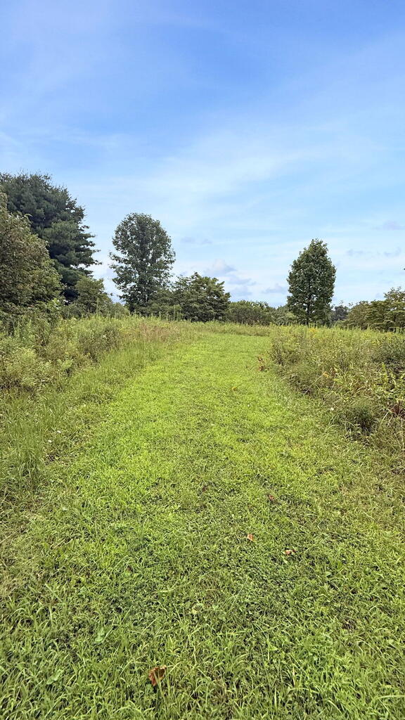 10110 Portie Flamingo Road, Corning, Ohio 43730, ,Land,For Sale,Portie Flamingo Road,20100443 10110 Portie Flamingo Road, Corning, Ohio 43730, ,Land,For Sale,Portie Flamingo Road,20100443