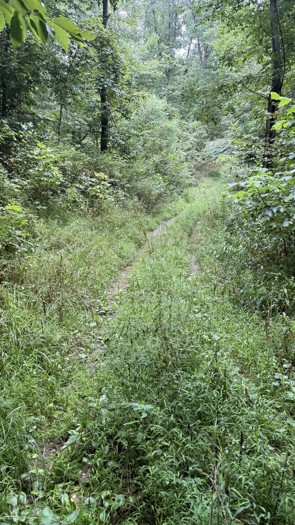 10110 Portie Flamingo Road, Corning, Ohio 43730, ,Land,For Sale,Portie Flamingo Road,20100443 10110 Portie Flamingo Road, Corning, Ohio 43730, ,Land,For Sale,Portie Flamingo Road,20100443