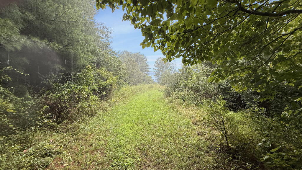 10110 Portie Flamingo Road, Corning, Ohio 43730, ,Land,For Sale,Portie Flamingo Road,20100443 10110 Portie Flamingo Road, Corning, Ohio 43730, ,Land,For Sale,Portie Flamingo Road,20100443