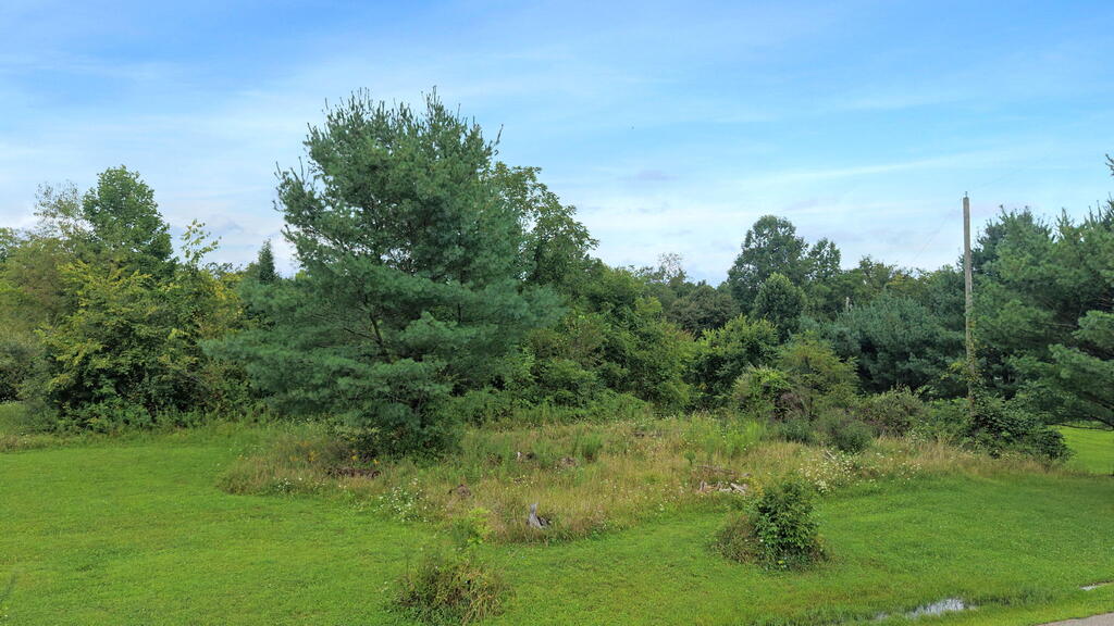 10110 Portie Flamingo Road, Corning, Ohio 43730, ,Land,For Sale,Portie Flamingo Road,20100443 10110 Portie Flamingo Road, Corning, Ohio 43730, ,Land,For Sale,Portie Flamingo Road,20100443