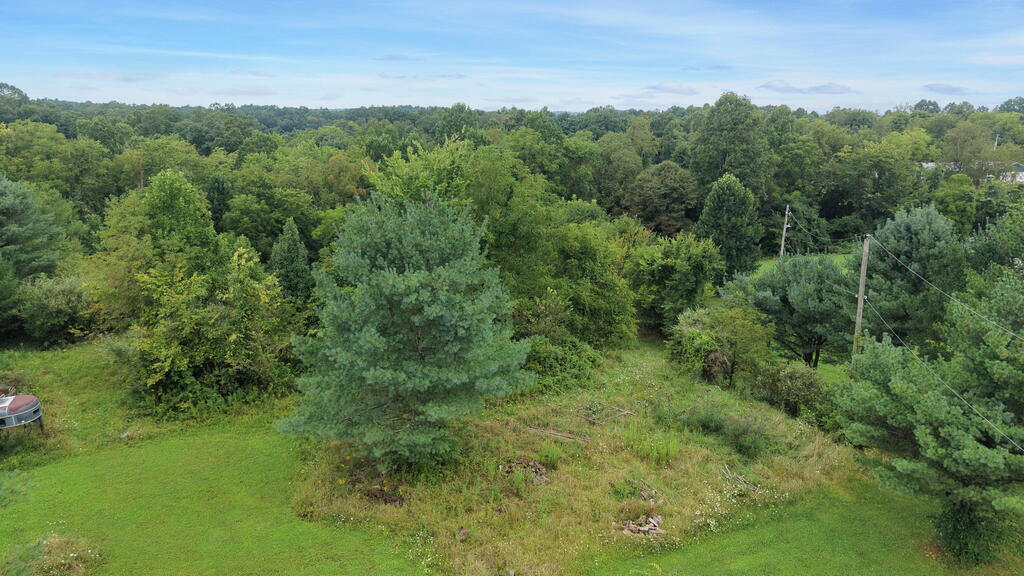 10110 Portie Flamingo Road, Corning, Ohio 43730, ,Land,For Sale,Portie Flamingo Road,20100443 10110 Portie Flamingo Road, Corning, Ohio 43730, ,Land,For Sale,Portie Flamingo Road,20100443