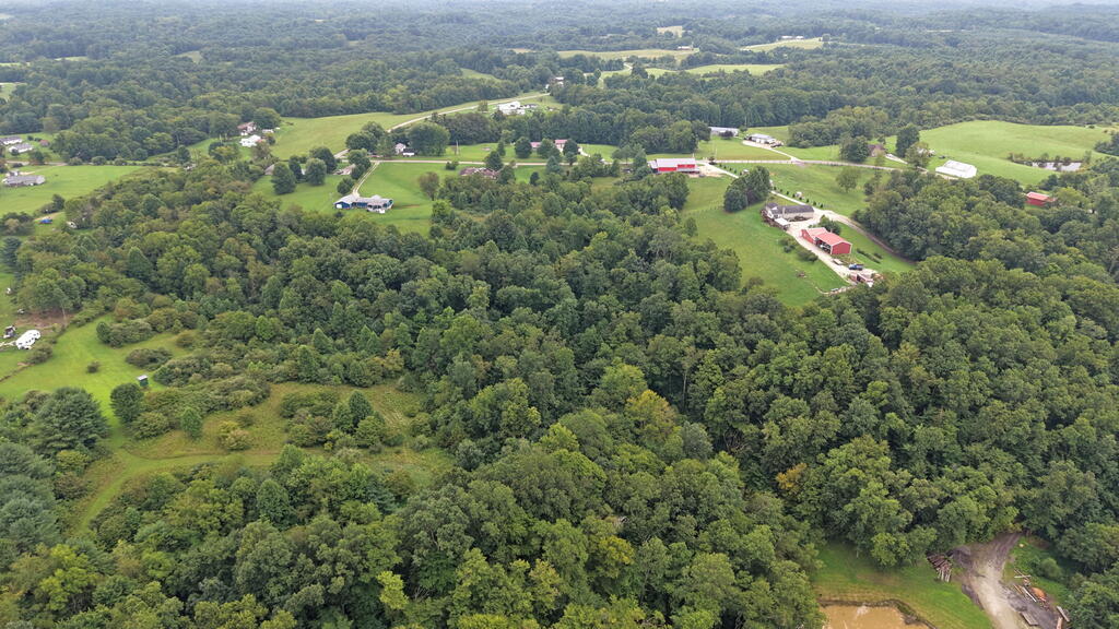 10110 Portie Flamingo Road, Corning, Ohio 43730, ,Land,For Sale,Portie Flamingo Road,20100443 10110 Portie Flamingo Road, Corning, Ohio 43730, ,Land,For Sale,Portie Flamingo Road,20100443