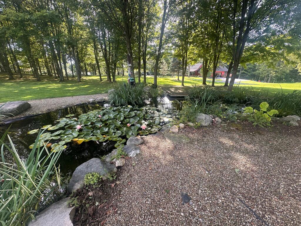 1032 County Road 2256, Perrysville, Ohio 44864, 4 Bedrooms Bedrooms, ,2 BathroomsBathrooms,Residential,For Sale,County Road 2256,20100445