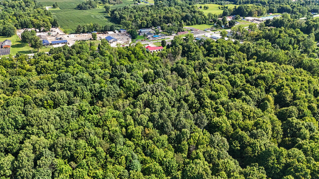 0 Park Ave West, Mansfield, Ohio 44906, ,Land,For Sale,Park Ave West,20100470 0 Park Ave West, Mansfield, Ohio 44906, ,Land,For Sale,Park Ave West,20100470