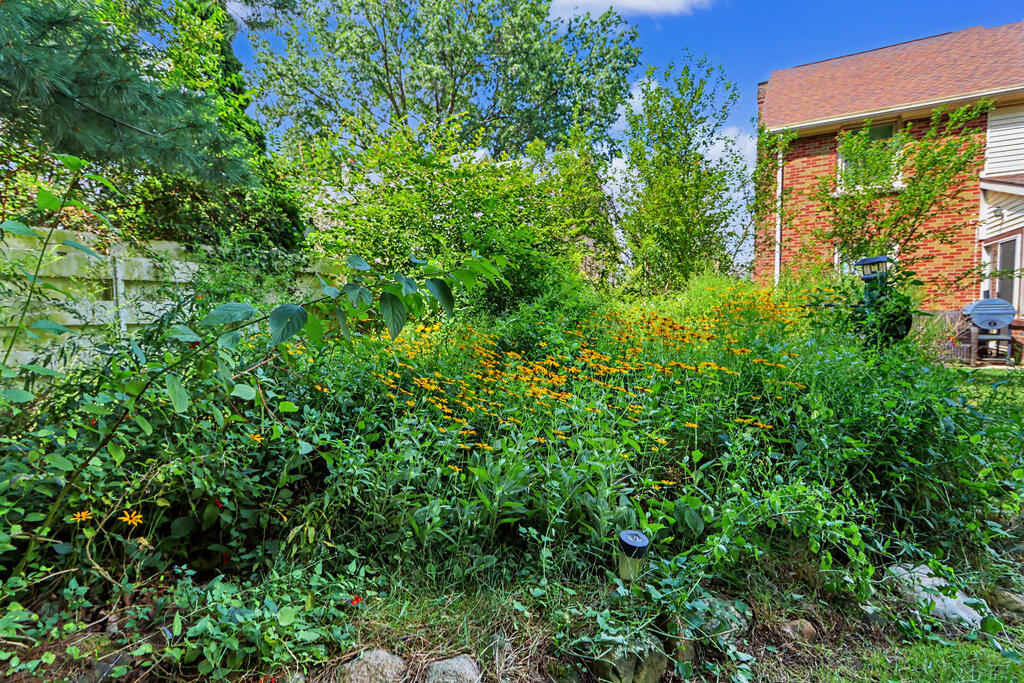 561 Sloane Avenue, Mansfield, Ohio 44903, 3 Bedrooms Bedrooms, ,1 BathroomBathrooms,Residential,For Sale,Sloane Avenue,20100521 561 Sloane Avenue, Mansfield, Ohio 44903, 3 Bedrooms Bedrooms, ,1 BathroomBathrooms,Residential,For Sale,Sloane Avenue,20100521