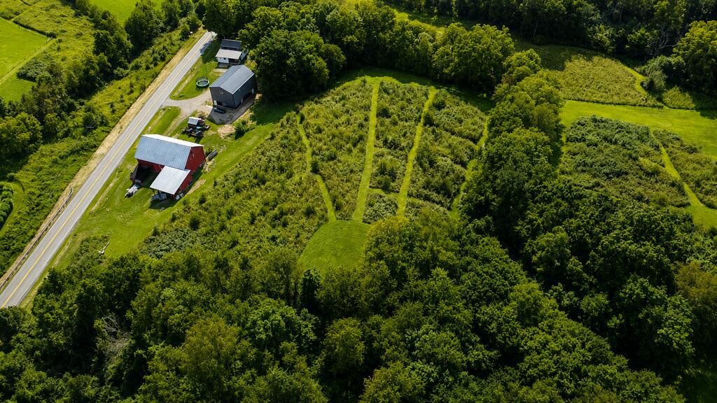 552 County Road 2575, Loudonville, Ohio 44842, 3 Bedrooms Bedrooms, ,1 BathroomBathrooms,Residential,For Sale,County Road 2575,20100599 552 County Road 2575, Loudonville, Ohio 44842, 3 Bedrooms Bedrooms, ,1 BathroomBathrooms,Residential,For Sale,County Road 2575,20100599