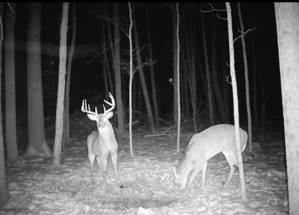 3602 State Route 598, Bucyrus, Ohio 44820, ,Land,For Sale,State Route 598,20100742 3602 State Route 598, Bucyrus, Ohio 44820, ,Land,For Sale,State Route 598,20100742