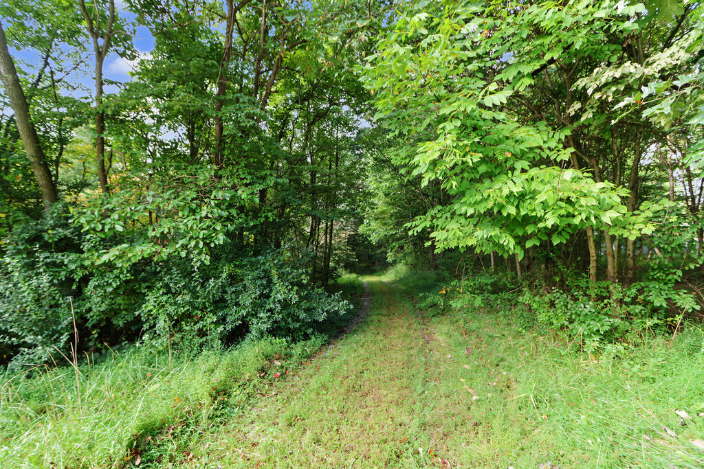 5617 Bunker Hill Road, Butler, Ohio 44822, 3 Bedroom Bedrooms, 0 ,3 BathroomBathrooms,Residential,For Sale,Bunker Hill Road,0,20100903