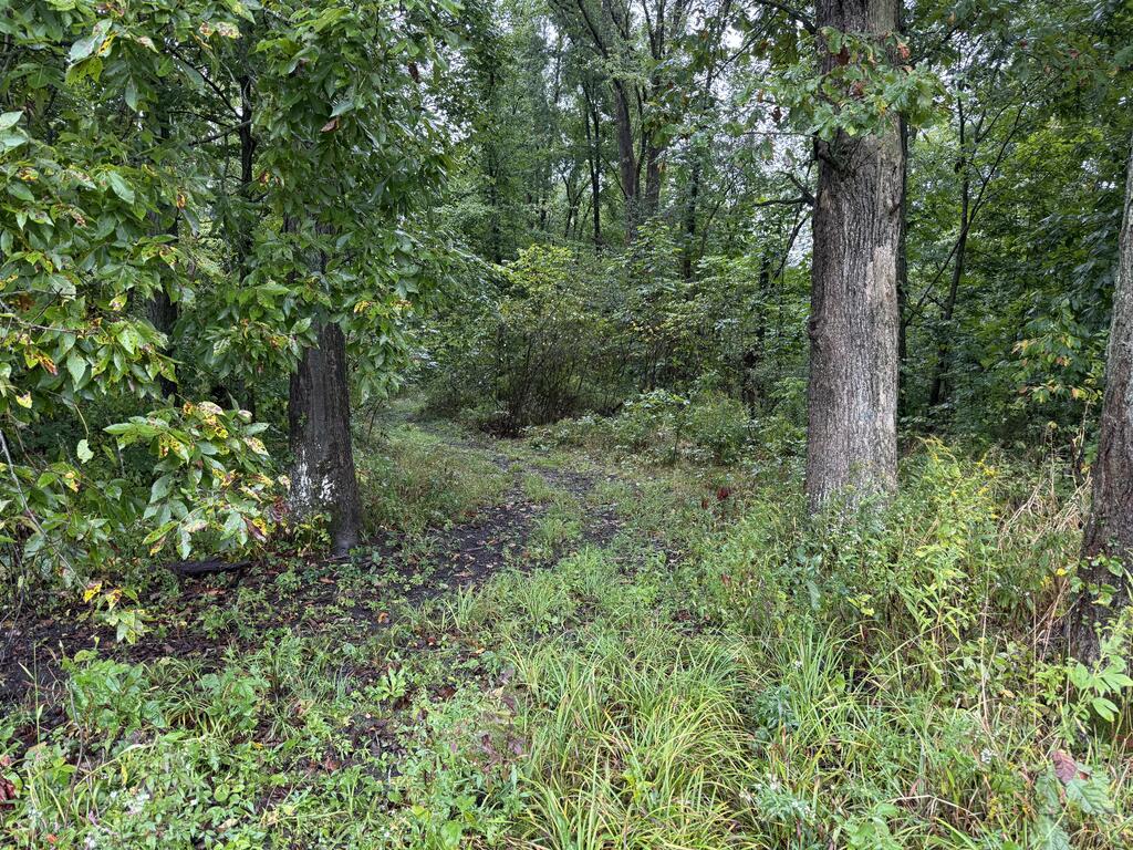 0 County Road 97 Lot #2, Mount Gilead, Ohio 43338, 0 , 0 ,0,Land,For Sale,County Road 97 Lot #2,0,20100931 0 County Road 97 Lot #2, Mount Gilead, Ohio 43338, 0 , 0 ,0,Land,For Sale,County Road 97 Lot #2,0,20100931