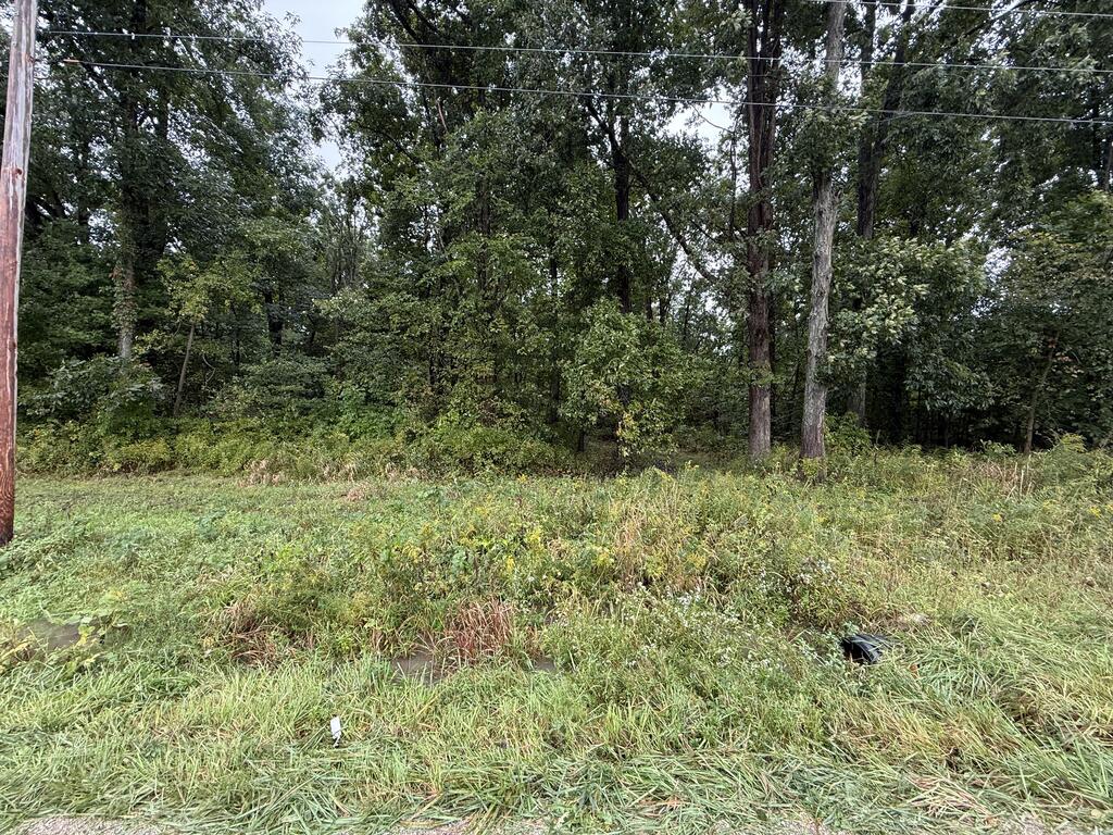 0 County Road 97 Lot #2, Mount Gilead, Ohio 43338, 0 , 0 ,0,Land,For Sale,County Road 97 Lot #2,0,20100931 0 County Road 97 Lot #2, Mount Gilead, Ohio 43338, 0 , 0 ,0,Land,For Sale,County Road 97 Lot #2,0,20100931