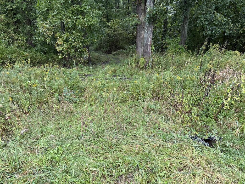 0 County Road 97 Lot #2, Mount Gilead, Ohio 43338, 0 , 0 ,0,Land,For Sale,County Road 97 Lot #2,0,20100931 0 County Road 97 Lot #2, Mount Gilead, Ohio 43338, 0 , 0 ,0,Land,For Sale,County Road 97 Lot #2,0,20100931