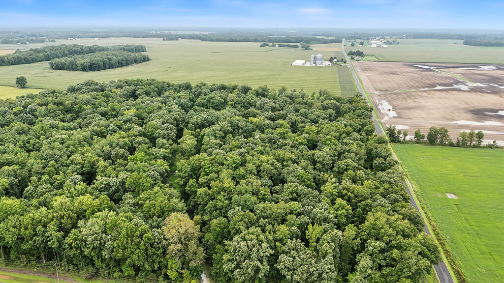 0 County Road 97 Lot #1, Mount Gilead, Ohio 43338, 0 , 0 ,0,Land,For Sale,County Road 97 Lot #1,0,20100932 0 County Road 97 Lot #1, Mount Gilead, Ohio 43338, 0 , 0 ,0,Land,For Sale,County Road 97 Lot #1,0,20100932