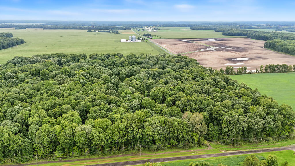 0 County Road 97 Lot #1, Mount Gilead, Ohio 43338, 0 , 0 ,0,Land,For Sale,County Road 97 Lot #1,0,20100932 0 County Road 97 Lot #1, Mount Gilead, Ohio 43338, 0 , 0 ,0,Land,For Sale,County Road 97 Lot #1,0,20100932