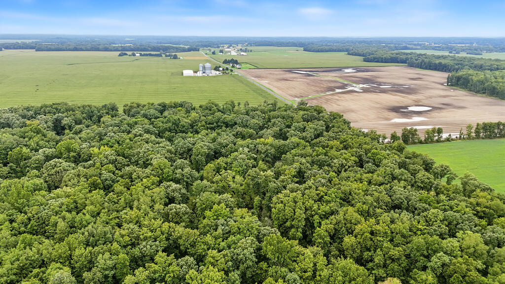 0 County Road 97 Lot #1, Mount Gilead, Ohio 43338, 0 , 0 ,0,Land,For Sale,County Road 97 Lot #1,0,20100932 0 County Road 97 Lot #1, Mount Gilead, Ohio 43338, 0 , 0 ,0,Land,For Sale,County Road 97 Lot #1,0,20100932