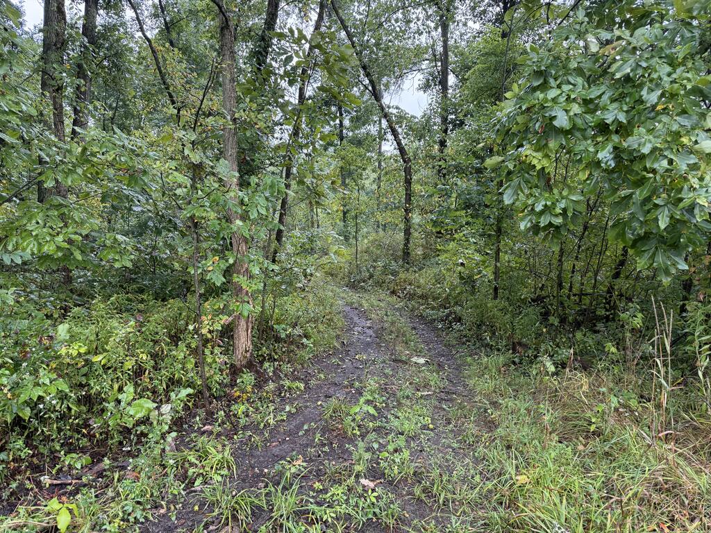 0 County Road 97 Lot #1, Mount Gilead, Ohio 43338, 0 , 0 ,0,Land,For Sale,County Road 97 Lot #1,0,20100932 0 County Road 97 Lot #1, Mount Gilead, Ohio 43338, 0 , 0 ,0,Land,For Sale,County Road 97 Lot #1,0,20100932