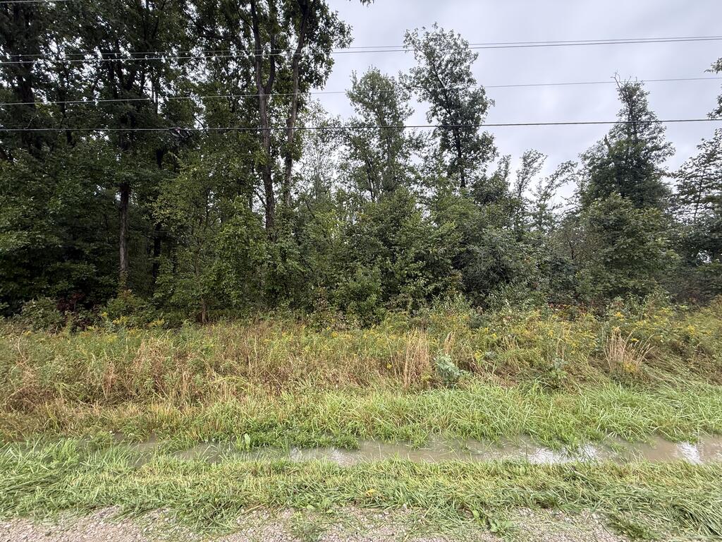 0 County Road 97 Lot #1, Mount Gilead, Ohio 43338, 0 , 0 ,0,Land,For Sale,County Road 97 Lot #1,0,20100932 0 County Road 97 Lot #1, Mount Gilead, Ohio 43338, 0 , 0 ,0,Land,For Sale,County Road 97 Lot #1,0,20100932