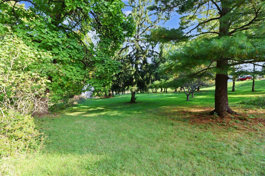 4075 Hamilton Road, Medina, Ohio 44256, 3 Bedroom Bedrooms, 0 ,2 BathroomBathrooms,Residential,For Sale,Hamilton Road,0,20101010