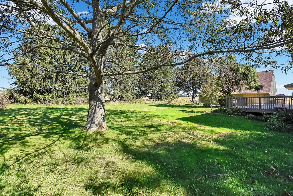 13061 Montgomery Rd, Fredericktown, Ohio 43019, 3 Bedrooms Bedrooms, ,3 BathroomsBathrooms,Residential,For Sale,Montgomery Rd,9064206