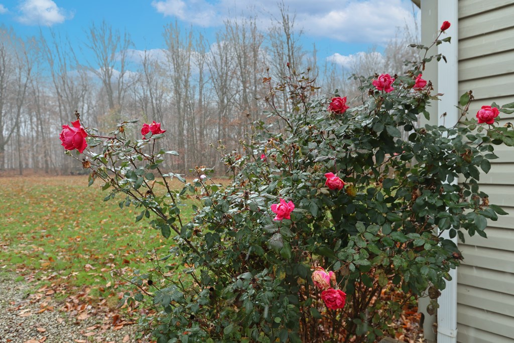 3895 Chatfield Center Road, Bloomville, Ohio 44818, 3 Bedrooms Bedrooms, ,2 BathroomsBathrooms,Residential,For Sale,Chatfield Center Road,9065587