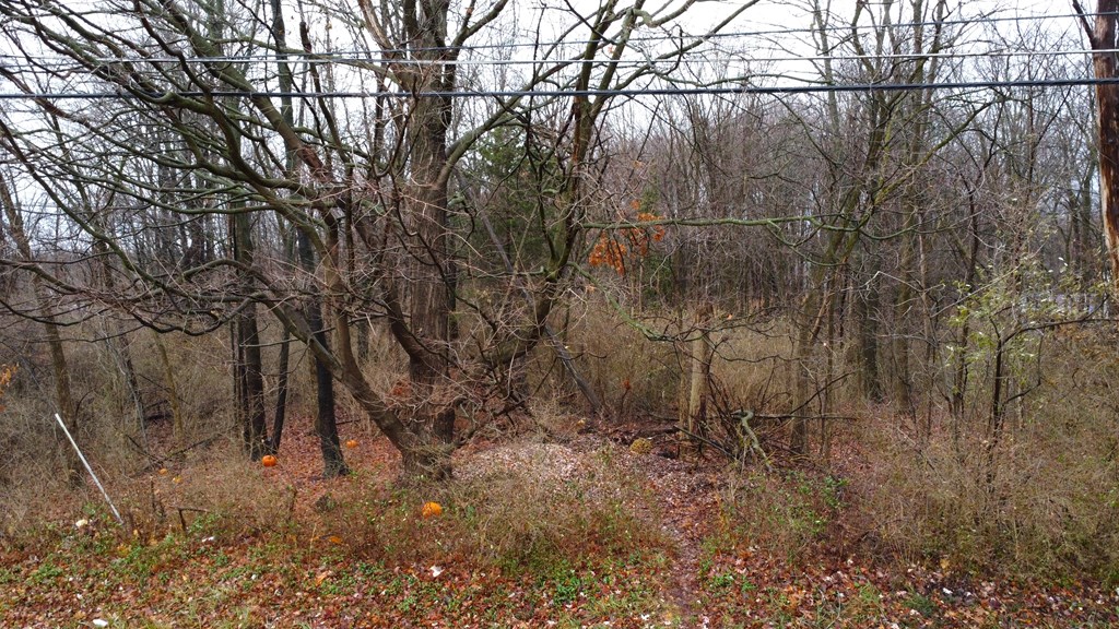 0 Laver Road, Mansfield, Ohio 44905, ,Land,For Sale,Laver Road,9065691