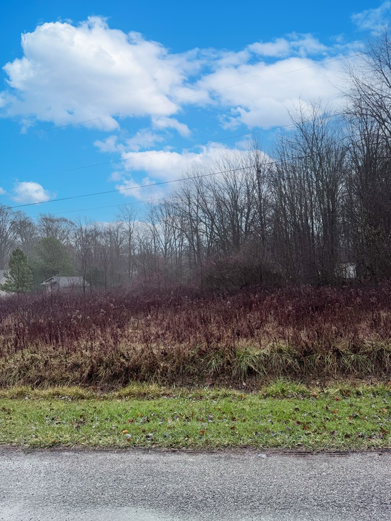 7326 7326 St Rt 19 Lot 146, Mount Gilead, Ohio 43338, ,Land,For Sale,7326 St Rt 19 Lot 146,9065700